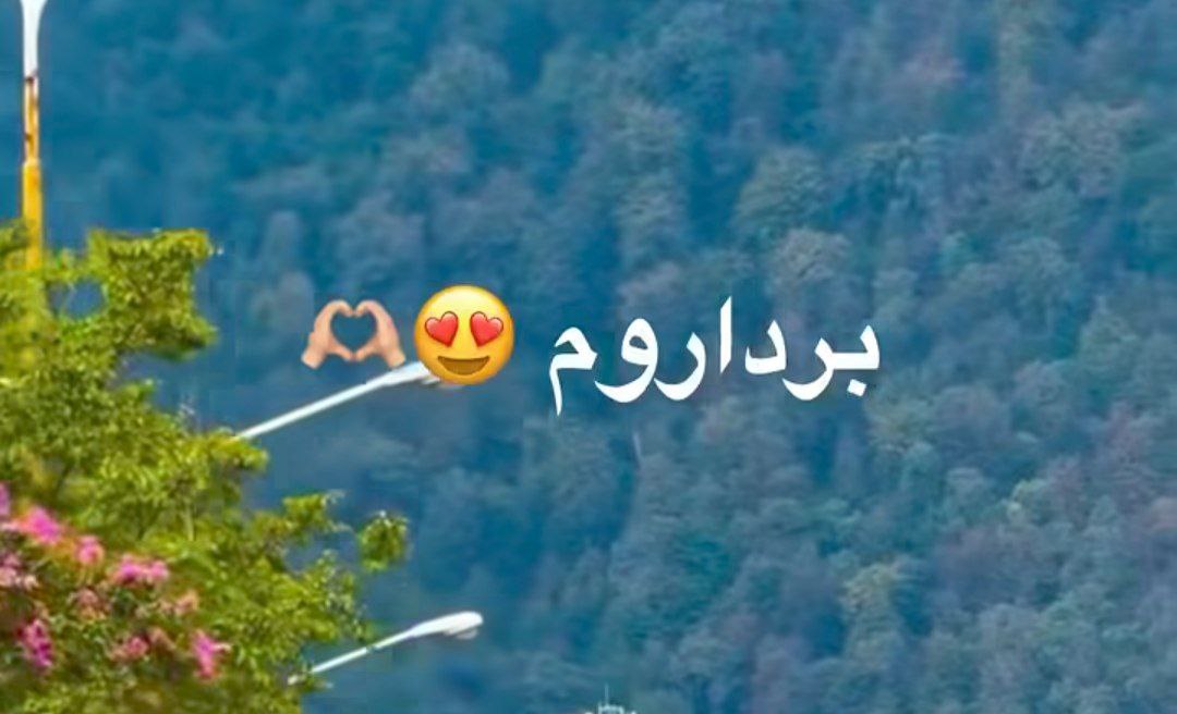  برداروم فرار کنم از دست ای شاهی گلم